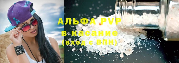 индика Богородск