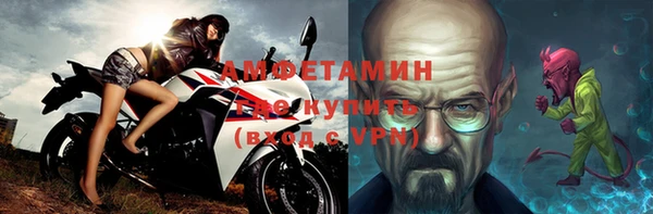 индика Богородск