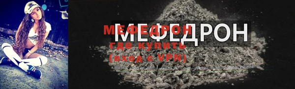 индика Богородск