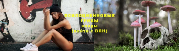 гашик Богородицк