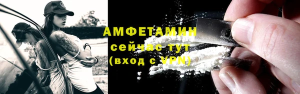 индика Богородск