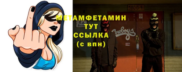 индика Богородск