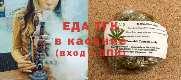 индика Богородск