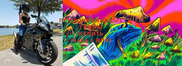 гашик Богородицк