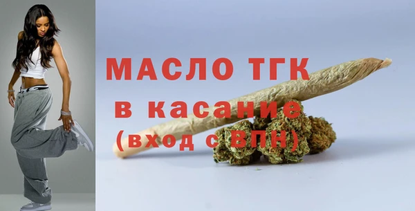 гашик Богородицк