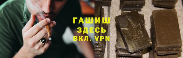 индика Богородск