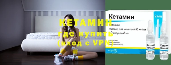 индика Богородск