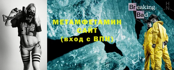 индика Богородск