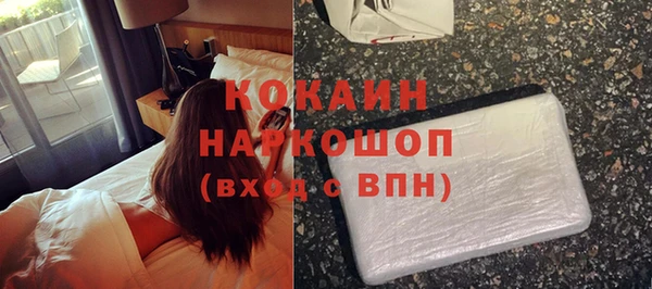 индика Богородск
