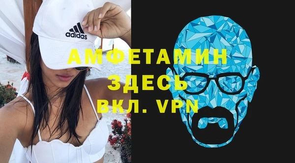 индика Богородск