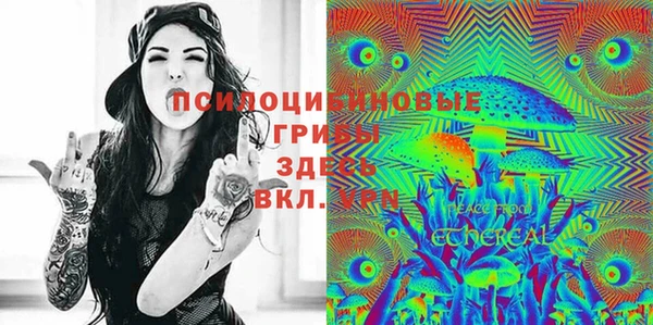 индика Богородск