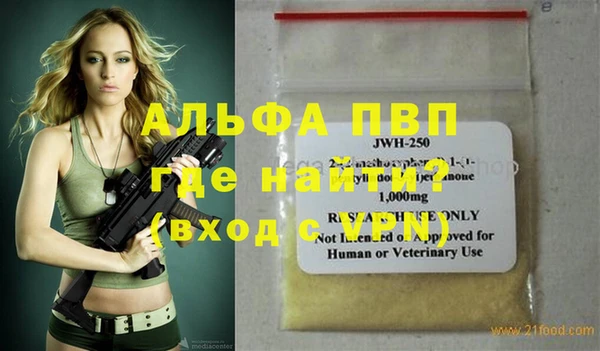 индика Богородск