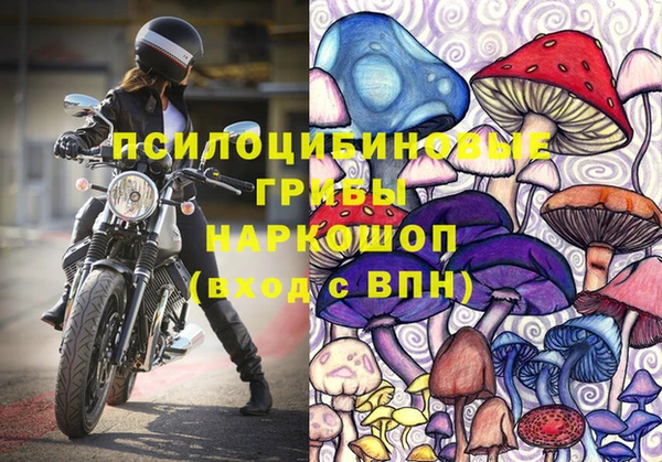 гашик Богородицк