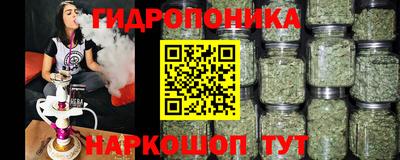 тгк Канаш