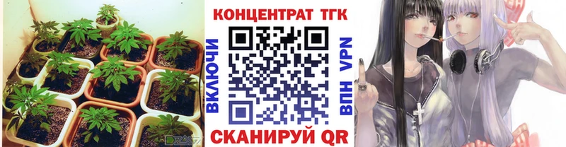 Дистиллят ТГК Wax  Буйнакск 