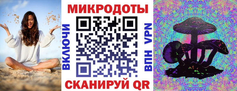 где купить   Буйнакск  Псилоцибиновые грибы Psilocybe 